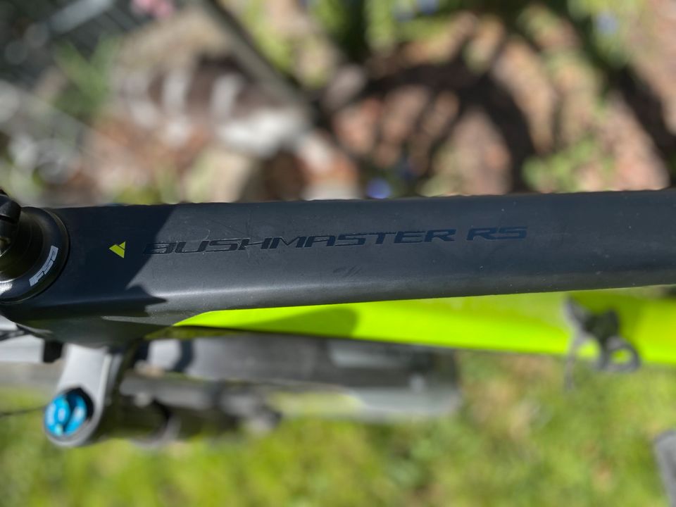 BULLS BUSHMASTER RS 29 CARBON matt black'n'lime metalic in Füssen