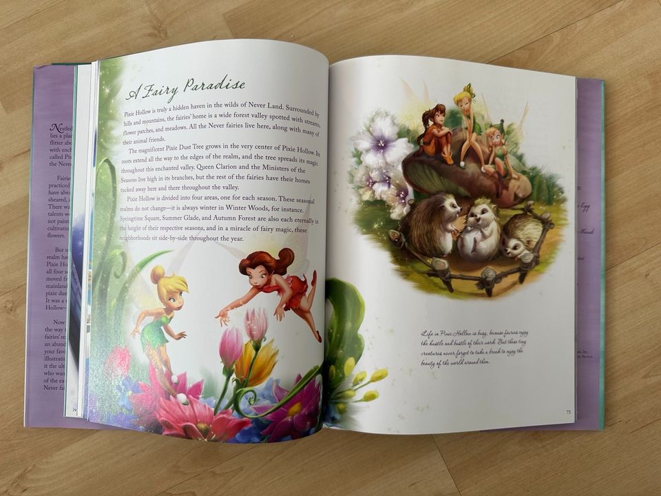 The World of Fairies Feen Prinzessin Buch Disney Englisch in Bad Oeynhausen