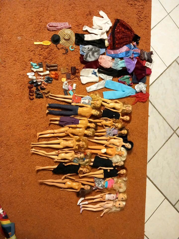 Große Barbie Sammlung mit viel Zubehör in Stammbach