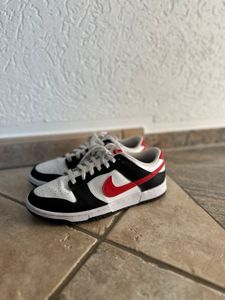 Nike Dunks Größe 40 TOP Zustand! in Zülpich