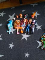 Puppen Entchantimals Spielzeug Figuren Born Surprise Weihnachten Dresden - Klotzsche Vorschau