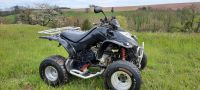 Kymco Kxr 250/Maxxer Thüringen - Saara Vorschau