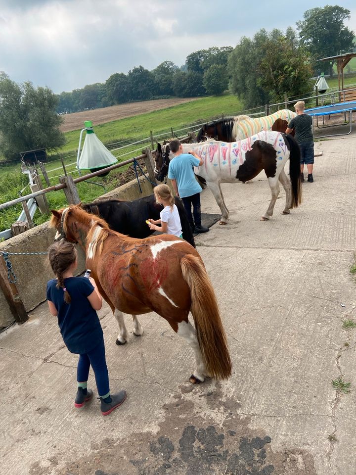Kindergeburtstag Kinderparty Reiten Ponyreiten in Bützow