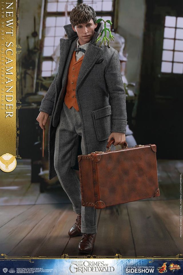 Hot Toys Newt Scamander Sideshow 1/6 Phantastische Tierwesen in St. Wendel