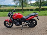 Honda CBF 600 Nordrhein-Westfalen - Lengerich Vorschau