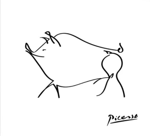 Picasso Zeichnungen in Duisburg