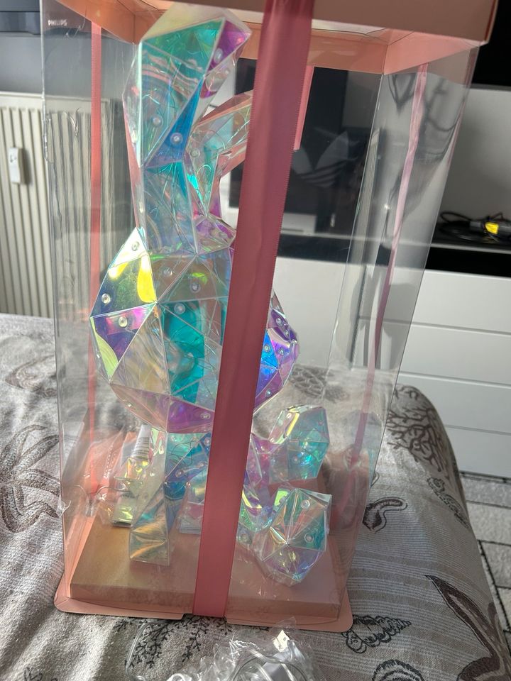 LED Hase mit Geschenkverpackung in Bad Rappenau