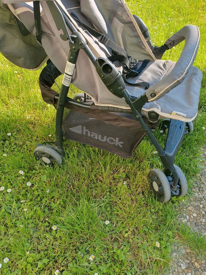 Buggy mit Sonnenschirm und Regenschutz in Wiesbaden