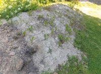 Lehm zu verschenken Füllung Ausbessern Garten Keller Putz Dortmund - Derne Vorschau
