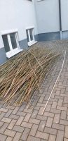Bambusstäbe als Deko oder Rankhilfe Hessen - Lorsch Vorschau