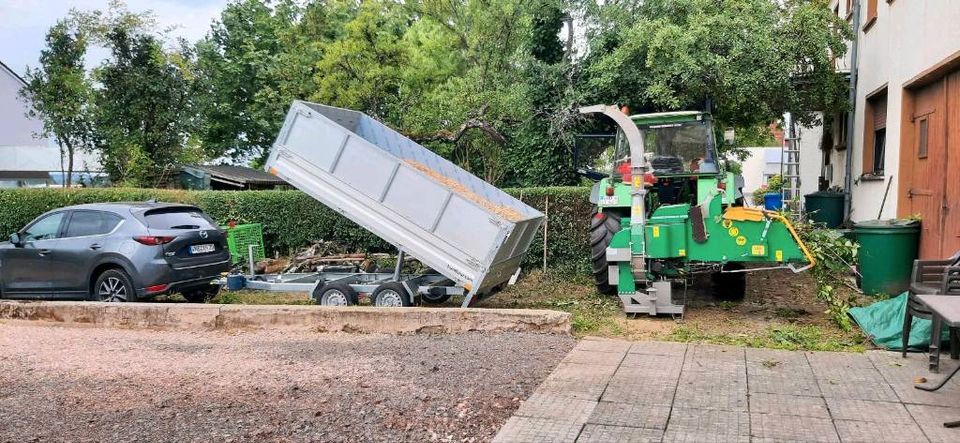 ❗️Häckselarbeiten ❗️ Holz/Entsorgung/Hecken/Forst/Mulchen in Tholey