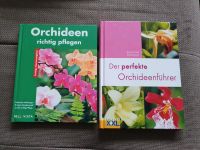 Orchideenführer, Orchideenpflege, Ratgeber 2 Bücher Dresden - Prohlis-Nord Vorschau