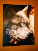 Wolf-Bild "Bad Wolf" auf Leinwand NEU Nordrhein-Westfalen - Nettetal Vorschau