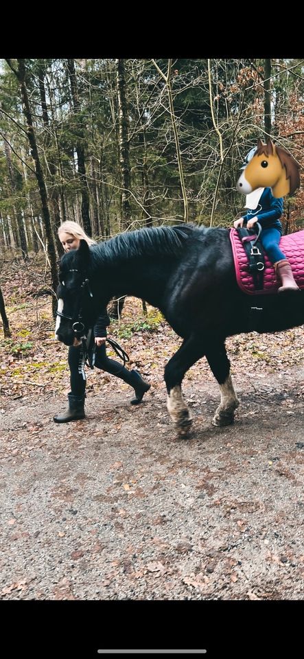 Ausritt, Reiten, Ponyreiten, Geführte Ausritte in Hamburg