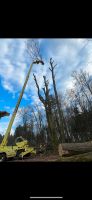 Problem Baumfällung/Sturmschäden/Bauplatzräumung Niedersachsen - Waddeweitz Vorschau