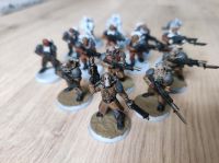 Warhammer 40k Forgeworld Chaos Renegades Militia SELTEN Nordrhein-Westfalen - Mettmann Vorschau