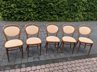 5 Stück 215 P Kaffeehausstuhl Bugholzstuhl von Thonet Rheinland-Pfalz - Wissen Vorschau