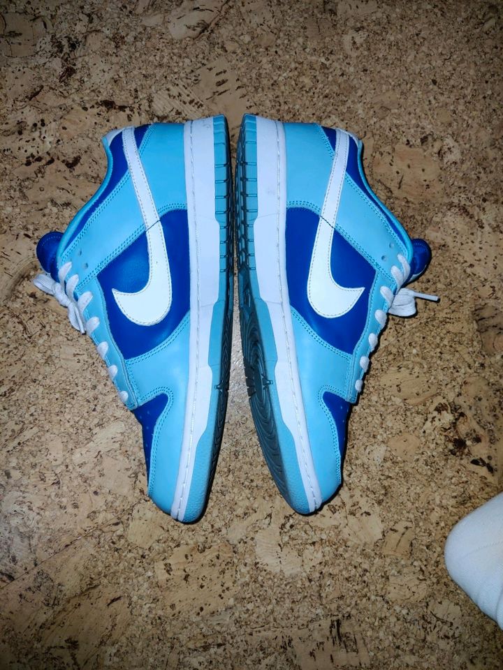 Nike Dunk Argon Blue (Gr:44) in Illingen