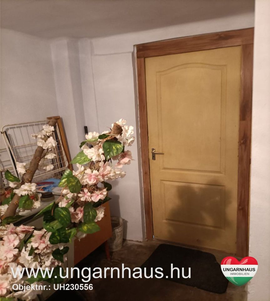 Haus in Ungarn, Südungarn mit ca. 1100 qm Grundstück in Freudenberg