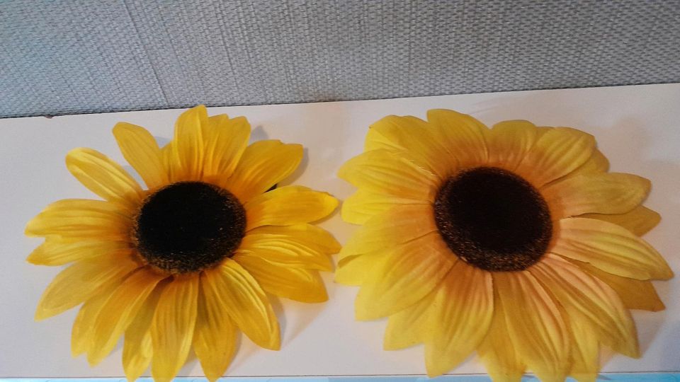 Sonnenblumen Deko in Düren