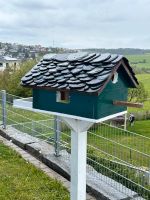 Vogelhäuser von klein / -xxl Baden-Württemberg - Bonndorf Vorschau