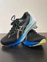 Asics Gel Kayano 30 neu mit Etikett UVP 200€ Damen Laufschuhe Bayern - Viechtach Vorschau