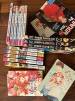 Manga verschiedene 4€ / Stück VB Rheinland-Pfalz - Riol Vorschau