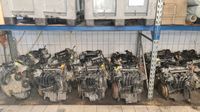 Seat / VW / Skoda 1,4 16v Motor - Motorcode CGG - 63KW 80-120tkm Niedersachsen - Langwedel Vorschau