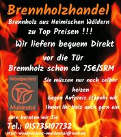 Brennholz Kaminholz Feuerholz ab 75€ Sachsen - Machern Vorschau