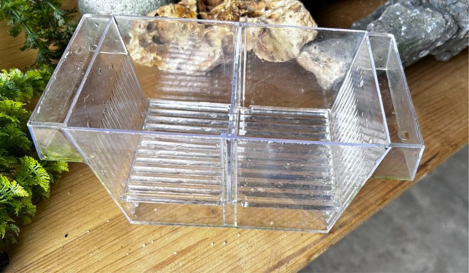 Aquarium Breeding Box  zu verkaufen. in Viersen