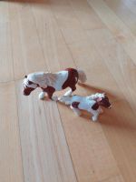 Schleich Pferd und Fohlen Hessen - Burghaun Vorschau