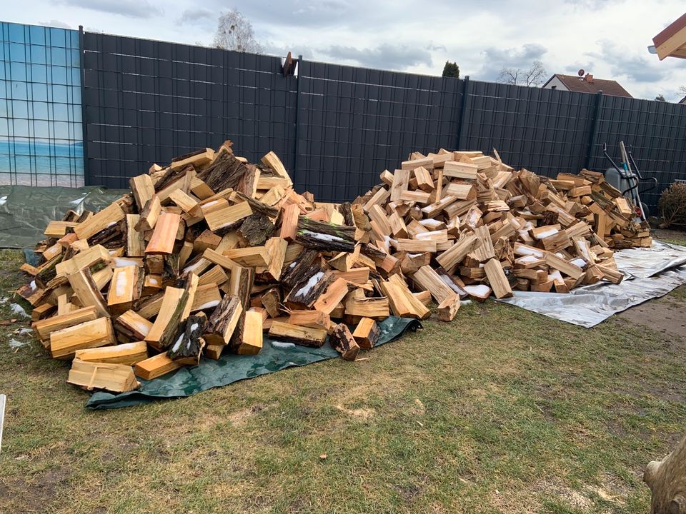 Brennholz, Eiche, Nussbaum, Esche, Laubholz, Nadelholz, Kamin in  Brandenburg - Herzfelde | eBay Kleinanzeigen ist jetzt Kleinanzeigen