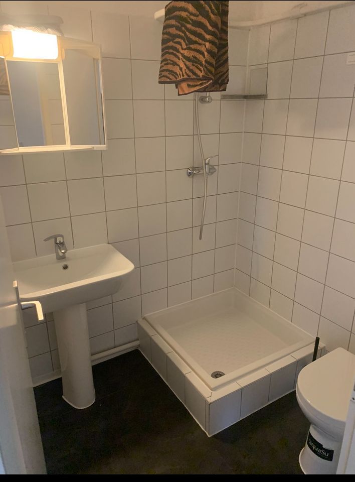 3,5 Zimmer Whg am Rhein in Rheinfelden (Baden)