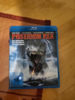 Poseidon rex Hessen - Felsberg Vorschau