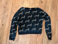 Pullover Pulli, H&M, Gr. 158/164 Brandenburg - Frankfurt (Oder) Vorschau