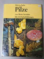 Pilze, Welt in Farbe Pilze Buch aus 1973, Rarität selten alt Bayern - Weißenburg in Bayern Vorschau