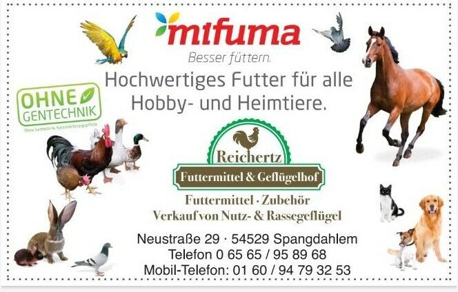 Hühner Hennen Futter Auslieferungs Tour Trier in Trier