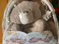 Baby Spielmatte Spielzeug Neugeborene Teddy toy Box Bär Rheinland-Pfalz - Winringen Vorschau