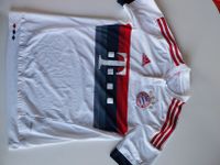 FC Bayern Trikot Größe 176 Kr. Dachau - Dachau Vorschau