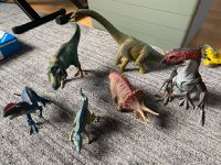 Schleich Dinosaurier Sammlung Nordrhein-Westfalen - Gronau (Westfalen) Vorschau