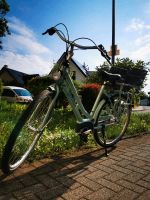 E-Bike Gazelle Hessen - Königstein im Taunus Vorschau