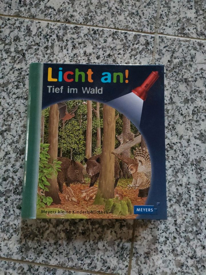 Buch Licht an Top Zustand mit Lampe in Reutlingen