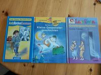 Verschiedene Kinderbücher und Jugendbücher Hessen - Trebur Vorschau