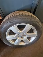 Original Audi Felgen mit 225/55R17 Sommerreifen Hessen - Gelnhausen Vorschau