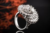 Platin Meistwerk Ring mit beeindruckender Diamant Vielfalt Nordrhein-Westfalen - Wegberg Vorschau