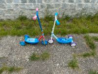 Roller mit Gebrauchsspuren Spielzeug für Kinder Bayern - Abensberg Vorschau