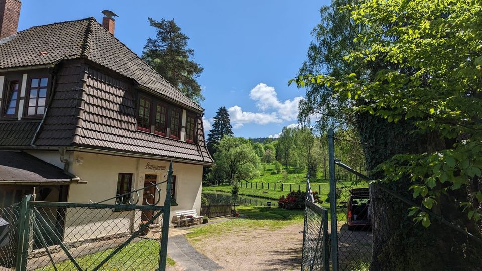 Wohn- und Geschäftshaus mit parkähnlichem Grundstück und Schwimmteich in Zella-Mehlis