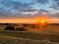 HD Ballen aus der Eifel Rheinland-Pfalz - Dockweiler Vorschau