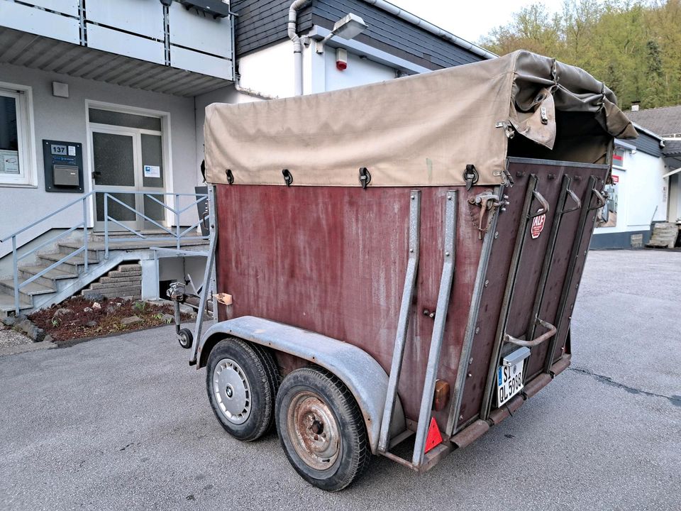 Pferdeanhänger Vieh Anhänger Rampe Plane Tandem 1500kg in Freudenberg