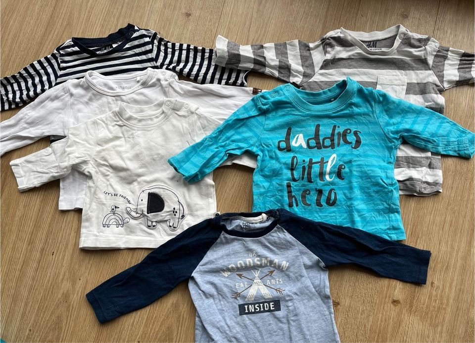 6 Langarmshirts Baby 68 H&M Topomini EatAnts Staccato in Neuenhagen